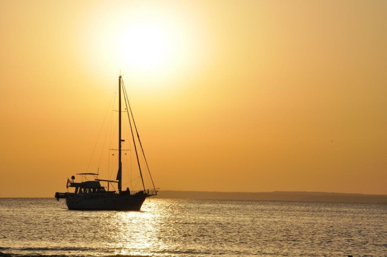 Paradise Vakantiehuis *